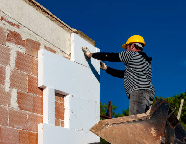 Best Geographic-Specific Insulation Services in Swisher, IA