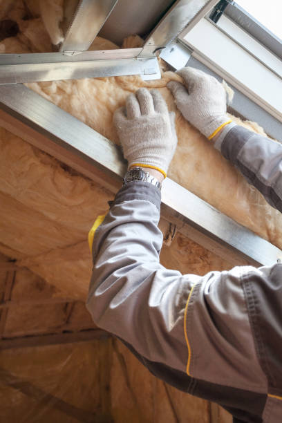 Best Cellulose Insulation in Swisher, IA