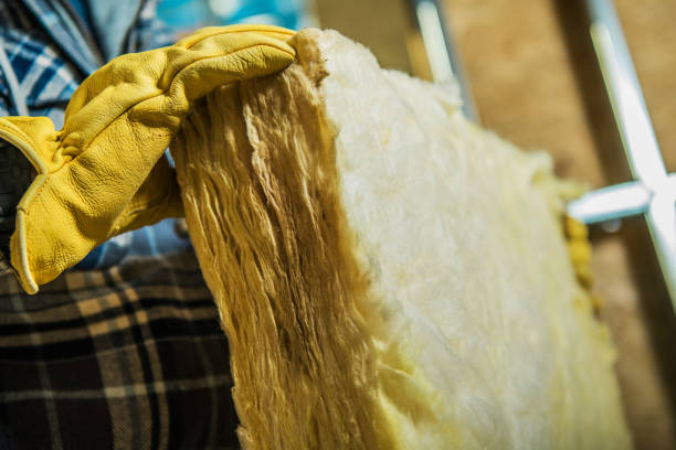 Best Residential Insulation in Swisher, IA