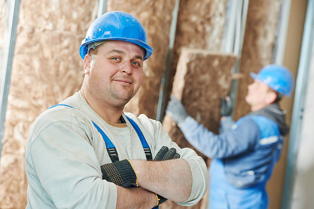 Best DIY Insulation Kits and Guidance in Swisher, IA