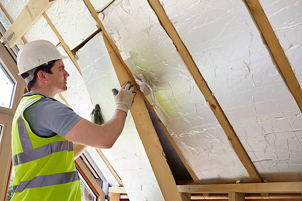 Best Eco-Friendly Insulation in Swisher, IA