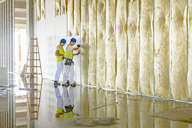Best Commercial Insulation in Swisher, IA